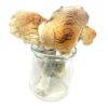 Buy Amazonian Magic Mushroom