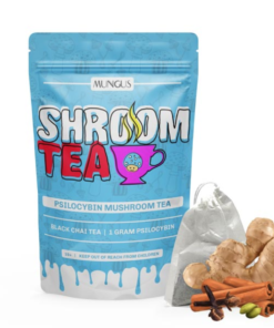 Buy Black Chai Shroom Tea 1 GRAM Online