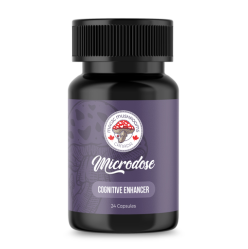 Buy Cognitive Enhancer Microdose Capsules (24) | Magic Mushrooms Online