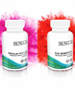 Buy Genius Focus & Energy Microdose Stack Online