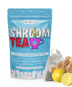 Buy Ginger Lemon Shroom Tea 1 GRAM Online