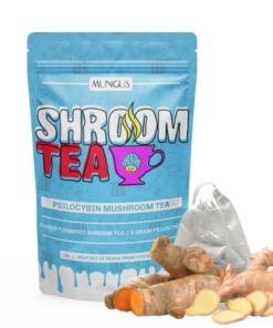 Buy Ginger Turmeric Shroom Tea 1 GRAM Online