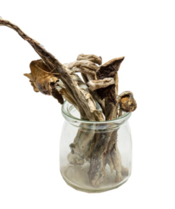 Buy Mammoth Magic Mushrooms Online