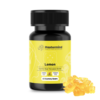 Buy Mastermind Psilo Magic Mushroom Gummy Bear Microdose – 3000MG – Lemon Online