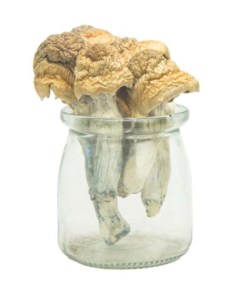 Buy Monster Mack Magic Mushrooms Onine