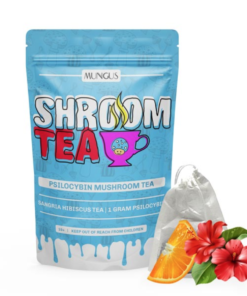 Buy Sangria Hibiscus Shroom Tea 1 GRAM Online