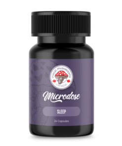 Buy Sleep Microdose (24) | Magic Mushrooms Canada Online