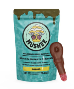 Buy Sour Key Chocolate Dipped 500MG Mushee Online